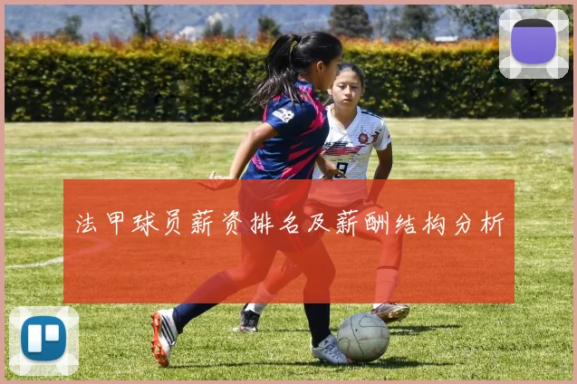 法甲球员薪资排名及薪酬结构分析
