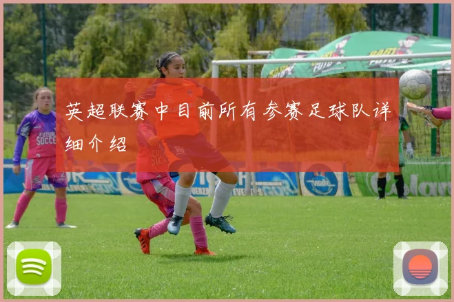 英超联赛中目前所有参赛足球队详细介绍