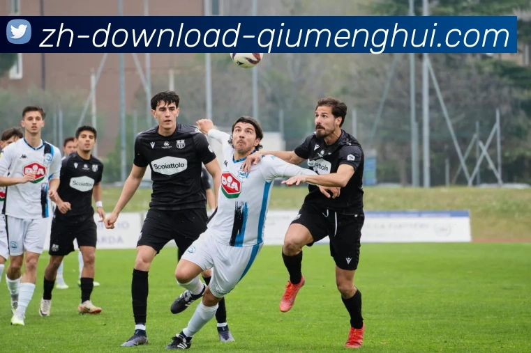 多媒体互动体验